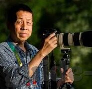足球比分价格情况-揭秘足球比分背后的价格密码，从数据到商业的生态链解析